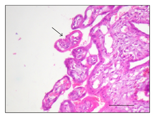 Details are in the caption following the image