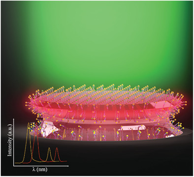 Hyperboloid-Drum Microdisk Laser Biosensors for Ultrasensitive Detection of Human IgG