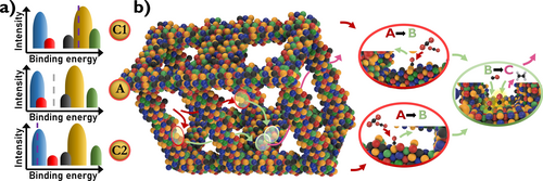 Details are in the caption following the image Details are in the caption following the image