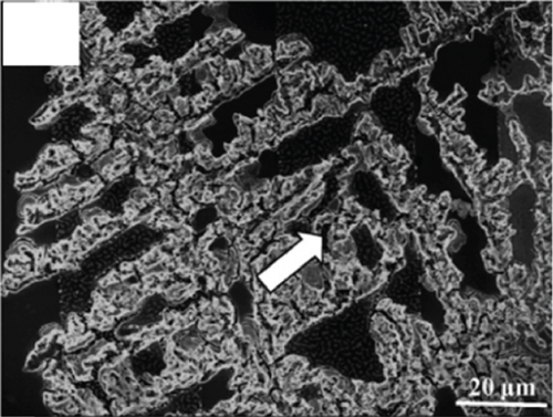 Details are in the caption following the image
