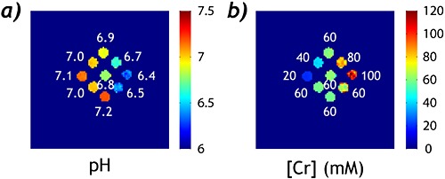 A method for accurate pH mapping with chemical exchange saturation transfer (CEST) MRI
