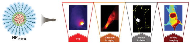 Symmetrically Fluorinated D-π-A Structured Cyanine Dye for Highly Efficient NIR-II Imaging-Guided Cancer Phototheranostics