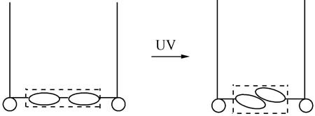 Orientation of the Azobenzene Spacer of Carboxylic Methyl Ester Gemini Surfactants in Langmuir Monolayer