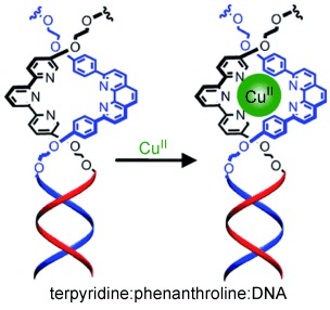 Templated Ligand Environments for the Selective Incorporation of Different Metals into DNA