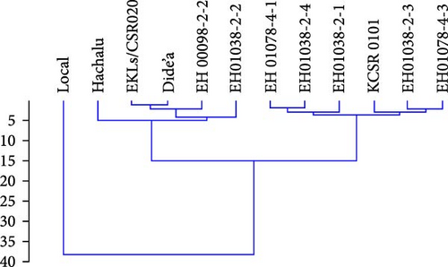 Details are in the caption following the image