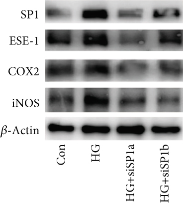 Details are in the caption following the image