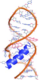 Amphiphilic Helical Peptides Containing Two Acridine Moieties Display Picomolar Affinity toward HIV-1 RRE and TAR