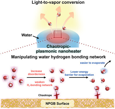 Incorporating Chaotropic/Kosmotropic Chemistries onto Plasmonic Nanoheater to Boost Steam Generation Beyond its Photothermal Property