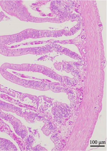 Details are in the caption following the image