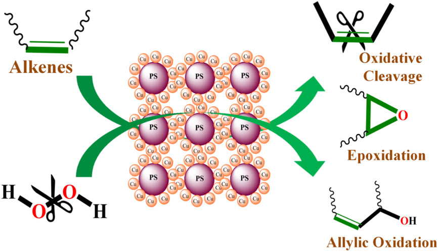 Polymer-anchored mononuclear and binuclear CuII Schiff-base complexes: Impact of heterogenization on liquid phase catalytic oxidation of a series of alkenes