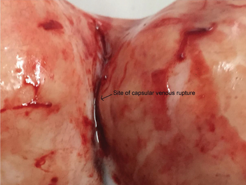 Details are in the caption following the image Details are in the caption following the image