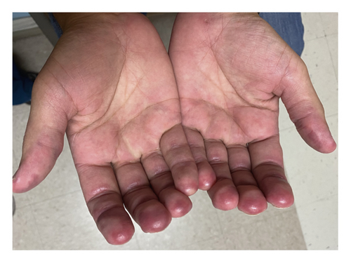 Details are in the caption following the image Details are in the caption following the image