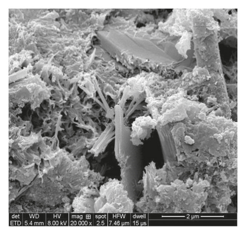 Details are in the caption following the image