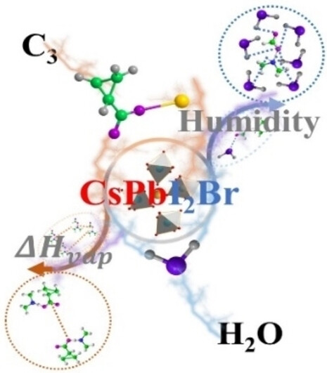 Cesium Cyclopropane Acid-Aided Crystal Growth Enables Efficient Inorganic Perovskite Solar Cells with a High Moisture Tolerance