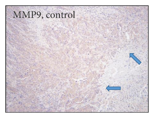 Details are in the caption following the image