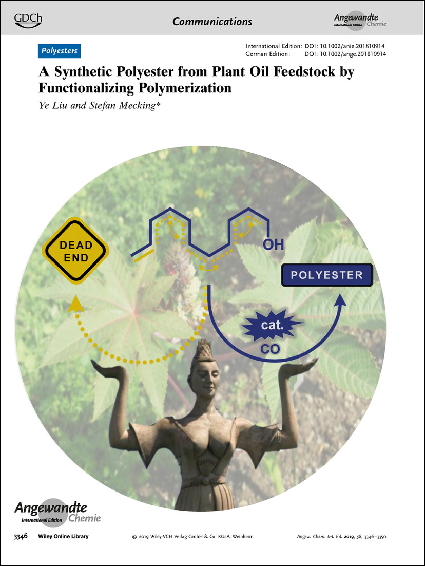 Frontispiece: A Synthetic Polyester from Plant Oil Feedstock by Functionalizing Polymerization Volume 58 Issue 11, 2019