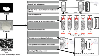 Purified Starches from 18 Pulses Have Markedly Different Morphology, Oil Absorption and Water Absorption Capacities, Swelling Power, and Turbidity