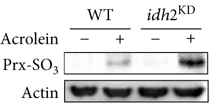 Details are in the caption following the image