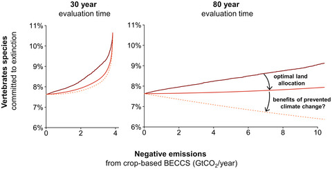 Global implications of crop-based bioenergy with carbon capture and storage for terrestrial vertebrate biodiversity