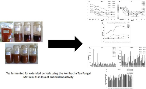 Evaluation of physicochemical properties and antioxidant activities of kombucha “Tea Fungus” during extended periods of fermentation