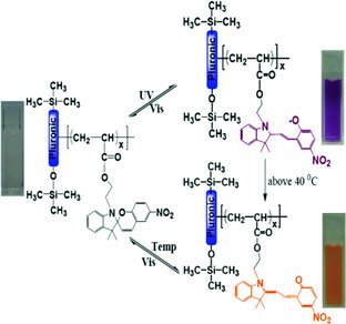 Spiropyran-Conjugated Pluronic as a Dual Responsive Colorimetric Detector