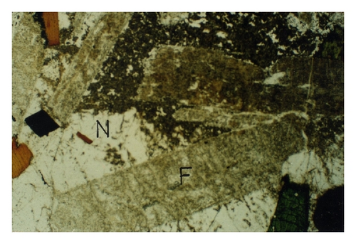 Details are in the caption following the image