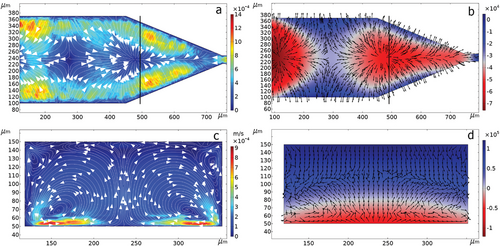 Details are in the caption following the image Details are in the caption following the image
