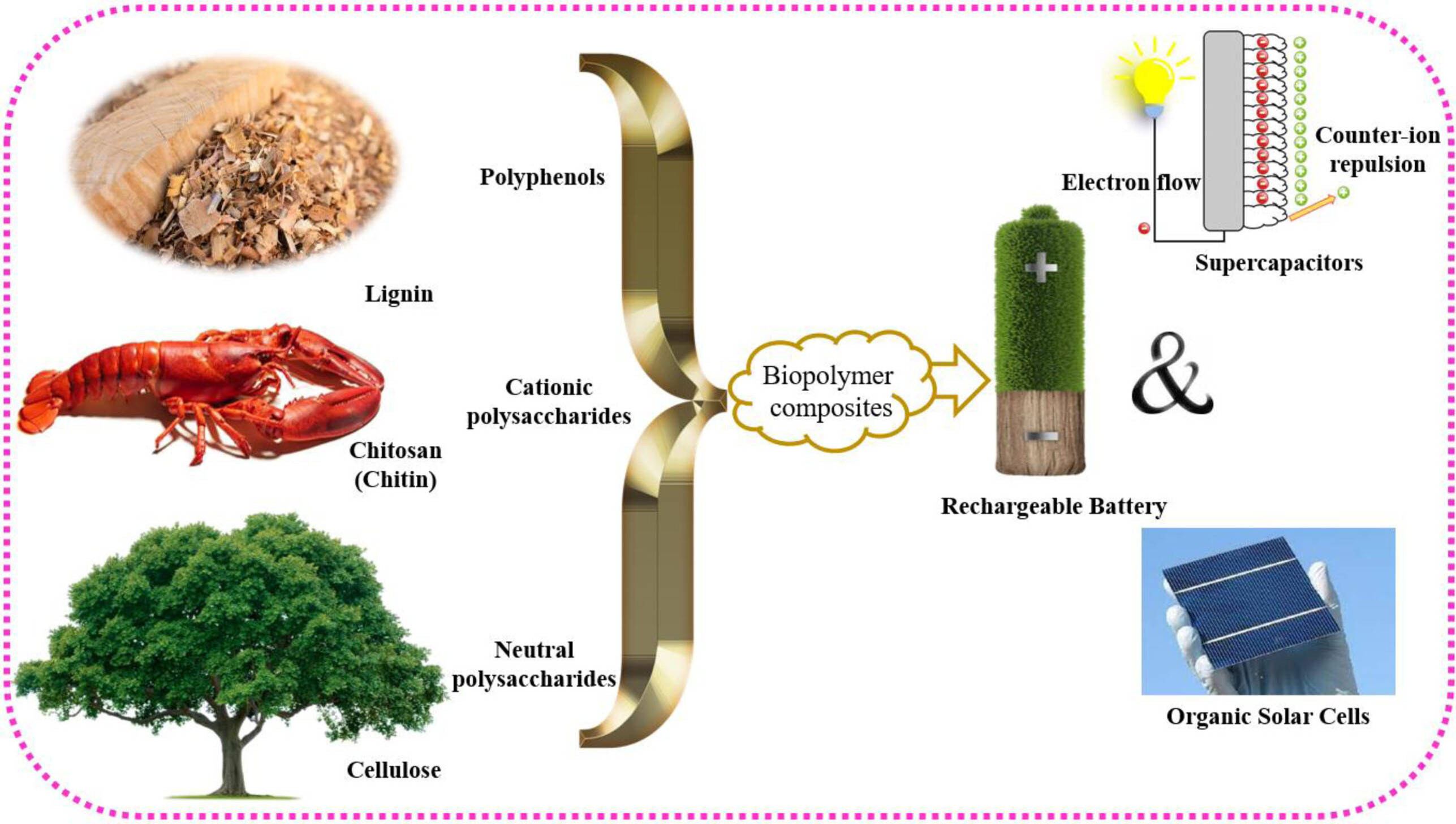 Bioresource Polymer Composite for Energy Generation and Storage: Developments and Trends