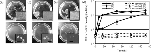 Details are in the caption following the image