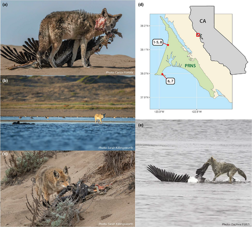 Details are in the caption following the image Details are in the caption following the image