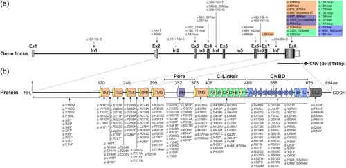 Details are in the caption following the image Details are in the caption following the image