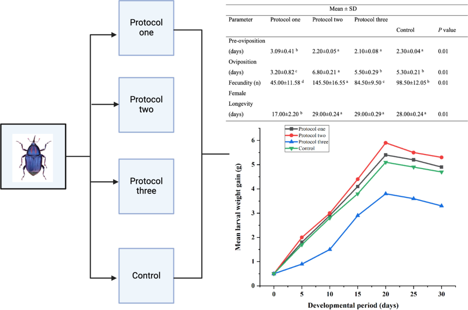 Rhynchophorus phoenicis production: A comparative study of different rearing protocols