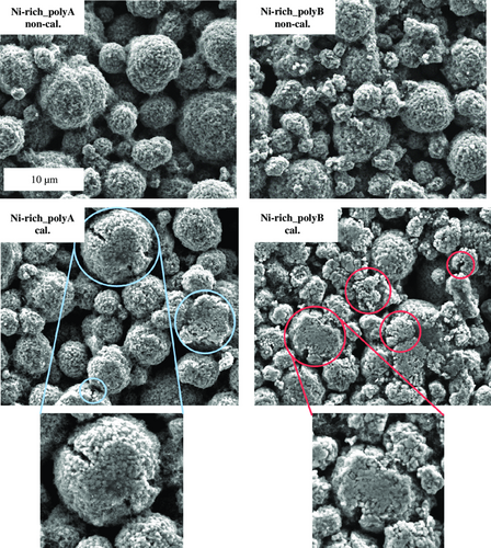 Details are in the caption following the image Details are in the caption following the image