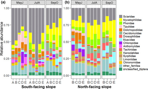 Metabarcoding reveals massive species diversity of Diptera in a subtropical ecosystem