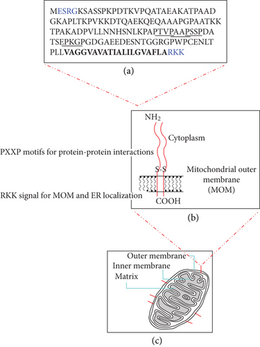 Details are in the caption following the image