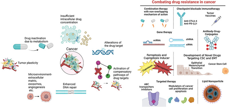 Understanding and targeting resistance mechanisms in cancer
