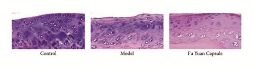 Details are in the caption following the image