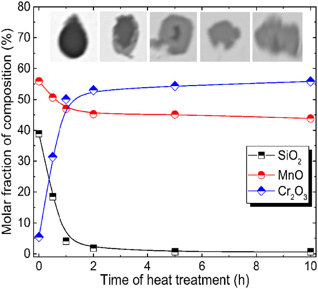 Thermodynamic and Kinetic Analysis for Transformation of Oxide Inclusions in Solid 304 Stainless Steels