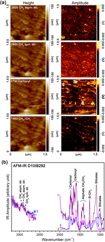 Details are in the caption following the image Details are in the caption following the image