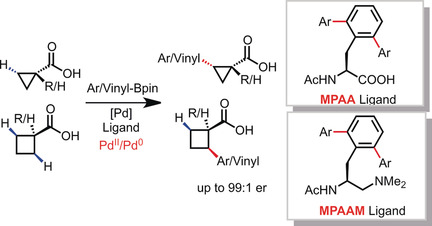PdII-Catalyzed Enantioselective C(sp3)−H Activation/Cross-Coupling Reactions of Free Carboxylic Acids