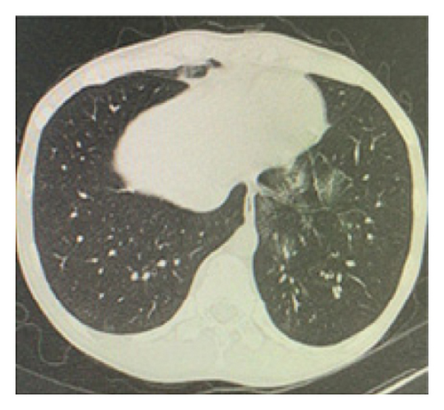 Details are in the caption following the image Details are in the caption following the image