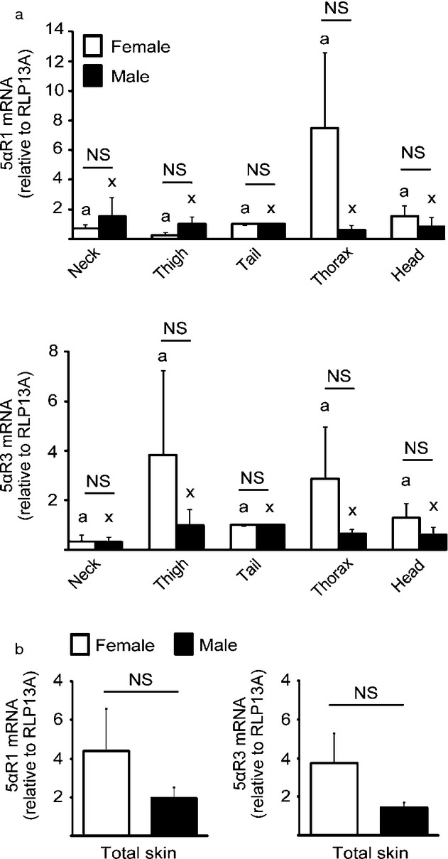 Identification of 5α-reductase isoenzymes in canine skin