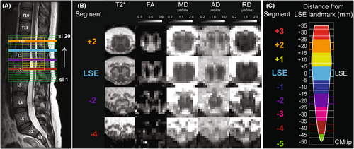 Details are in the caption following the image Details are in the caption following the image