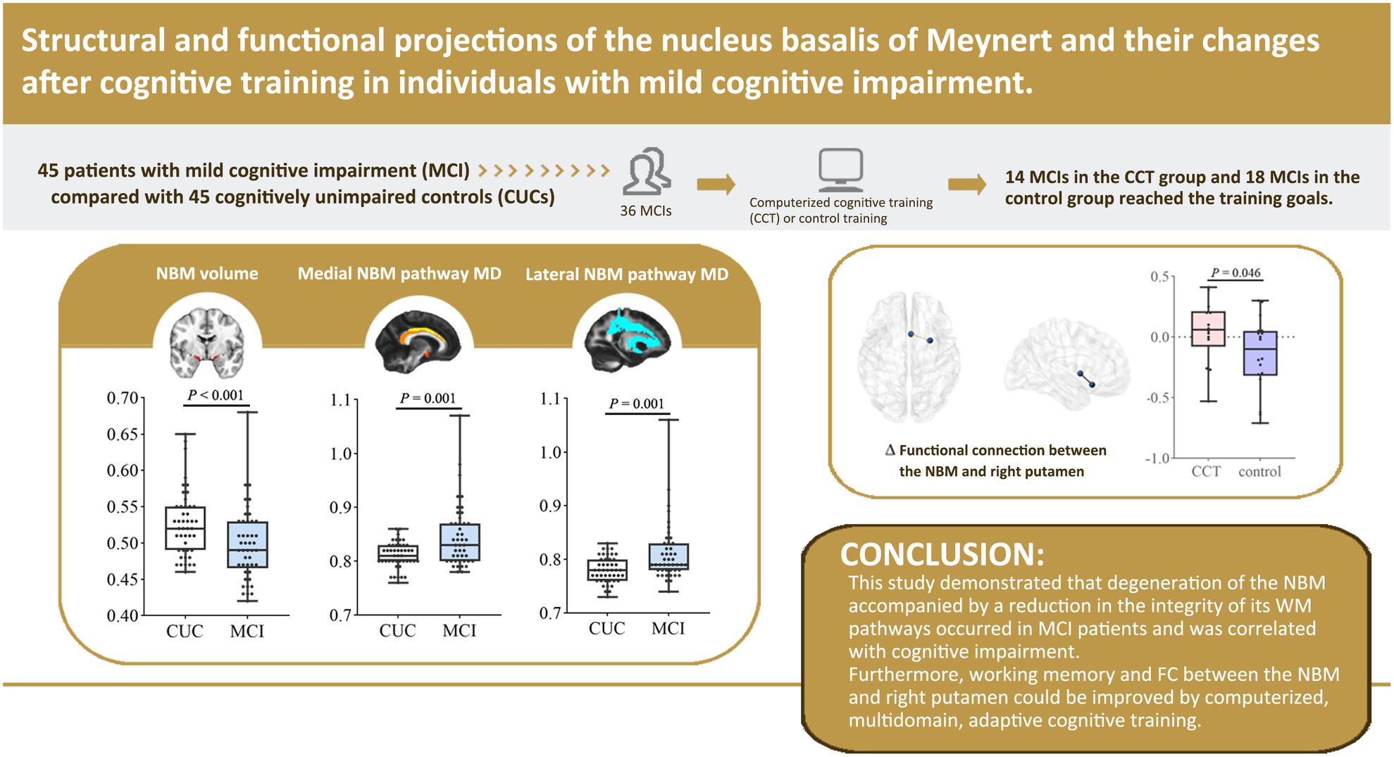 Structural and Functional Projections of the Nucleus Basalis of Meynert and Their Changes After Cognitive Training in Individuals With Mild Cognitive Impairment