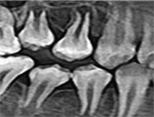 Details are in the caption following the image