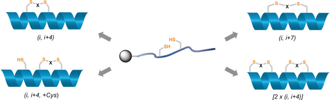 A Solid-Phase Approach to Accessing Bisthioether-Stapled Peptides Resulting in a Potent Inhibitor of PRC2 Catalytic Activity