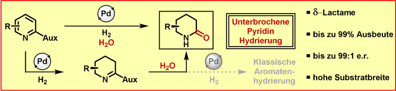 Unterbrochene Pyridin-Hydrierung: asymmetrische Synthese von δ-Lactamen