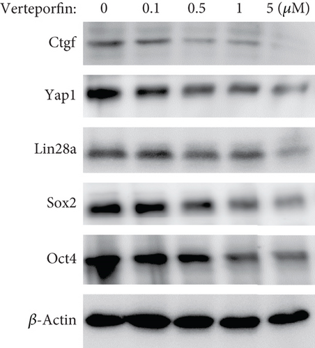 Details are in the caption following the image