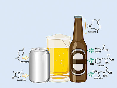 Dose oder Flasche – wie bleibt Bier länger frisch?