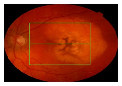 Details are in the caption following the image Details are in the caption following the image